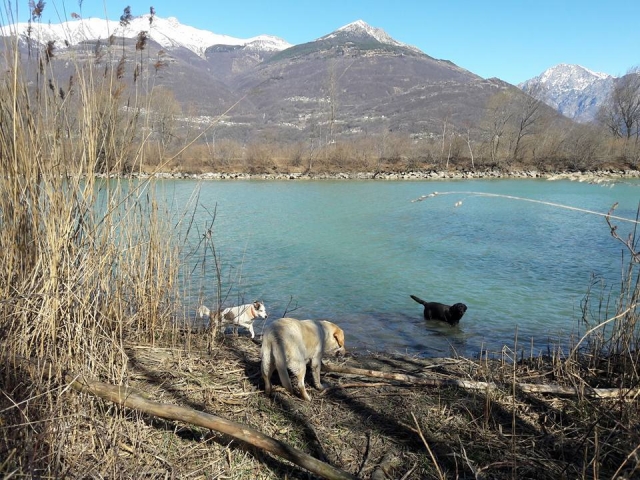 Immersi nella natura